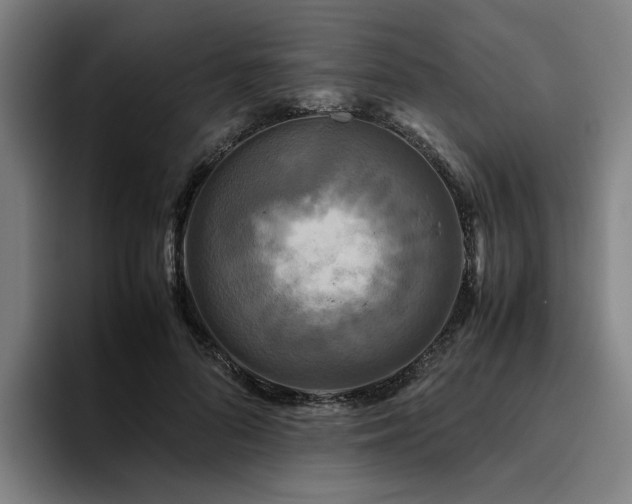 X0000094820696200711161528