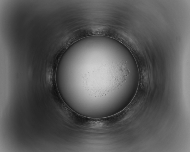 X0000094820698200711161528