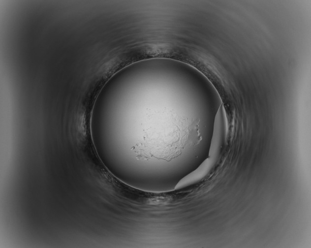 X0000094820700200711161528
