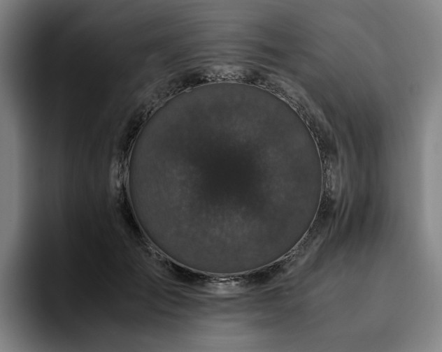 X0000094820701200711161528