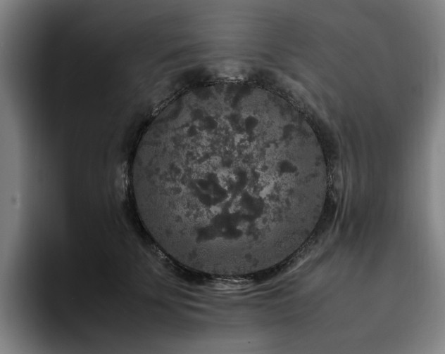 X0000094820707200711161528