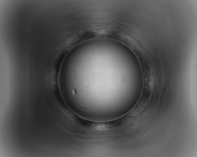 X0000094820710200711161528