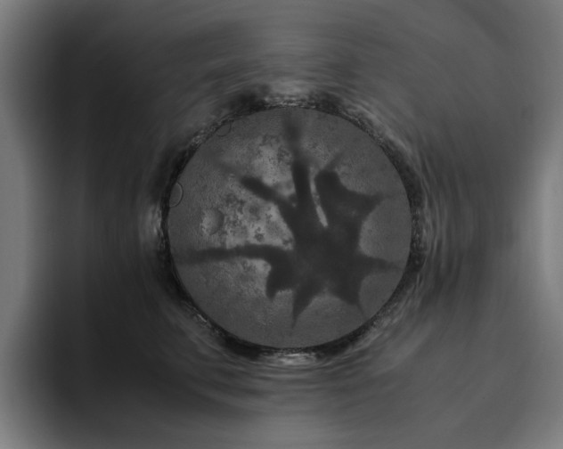 X0000094820711200711161528