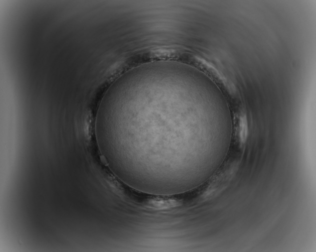 X0000094820712200711161528
