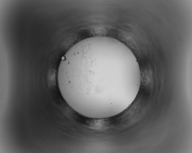 X0000094820717200711161528