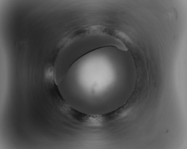 X0000094820720200711161528