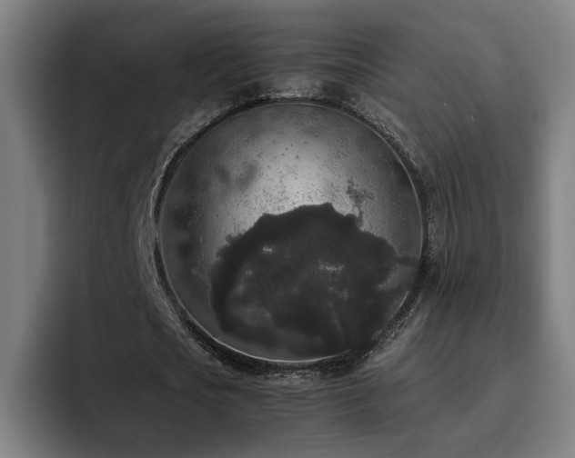X0000094820721200711161527
