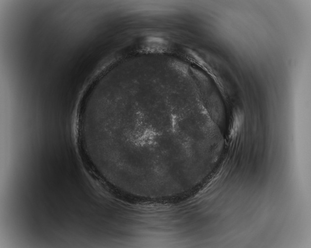 X0000094820722200711161527
