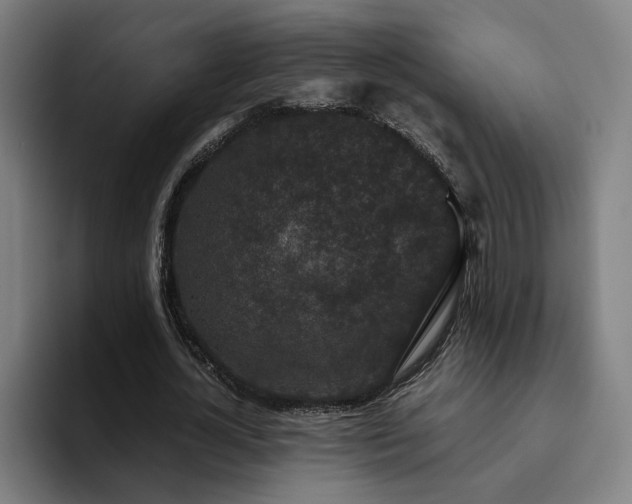 X0000094820724200711161527