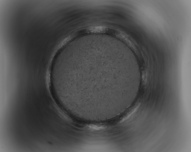 X0000094820725200711161527