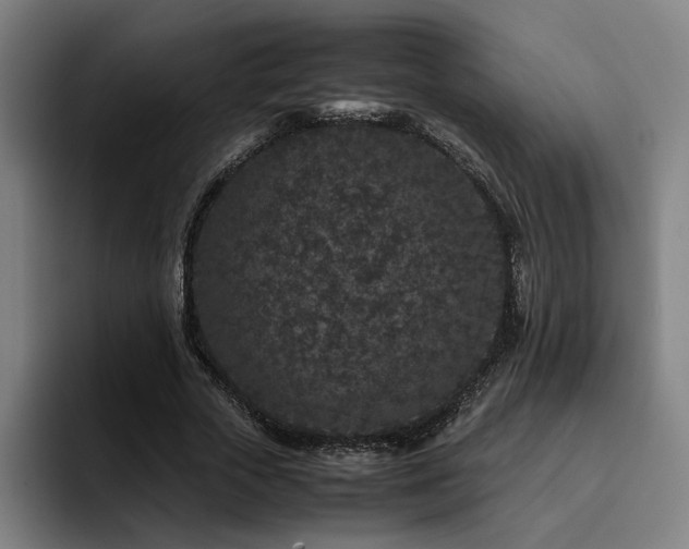 X0000094820729200711161527