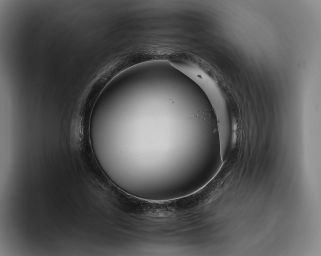 X0000094820731200711161527