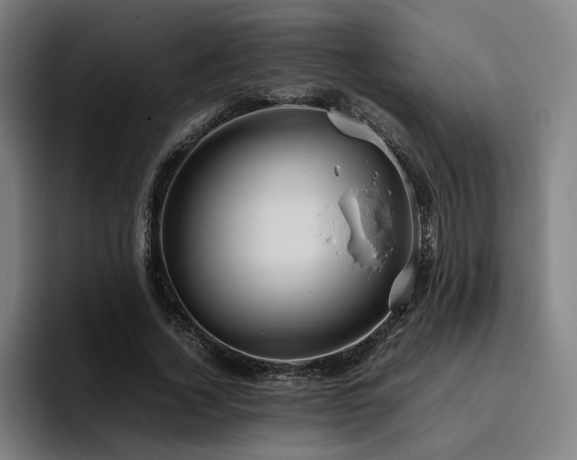 X0000094820732200711161527