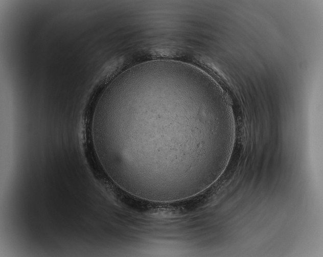X0000094820738200711161527