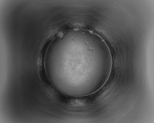 X0000094820739200711161527