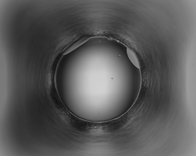 X0000094820740200711161527
