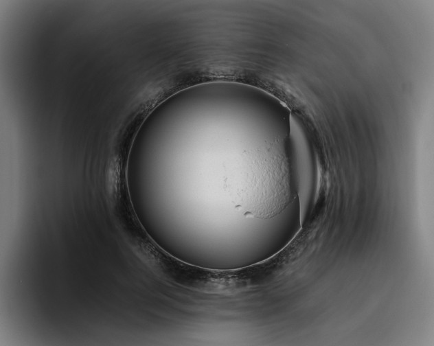 X0000094820744200711161527
