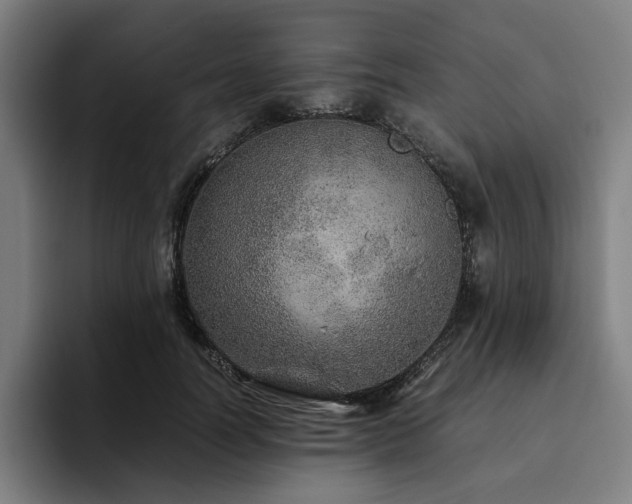 X0000094820746200711161527