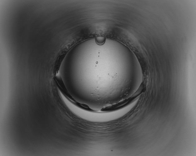 X0000094820750200711161527