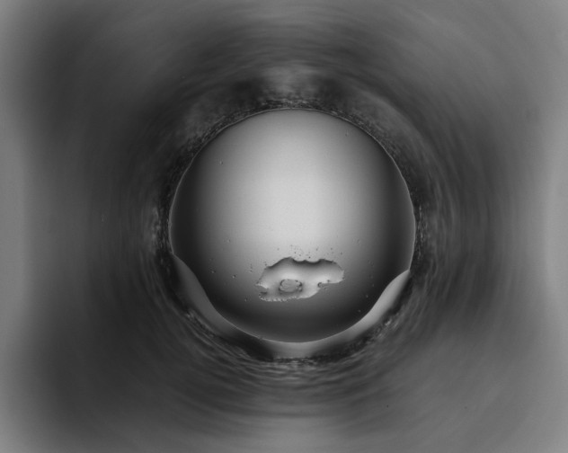 X0000094820752200711161527