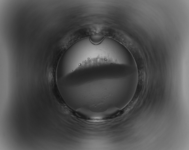 X0000094820754200711161527