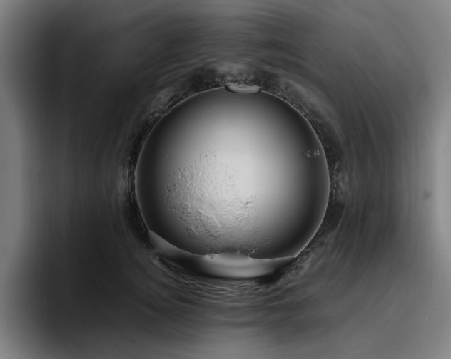 X0000094820756200711161527