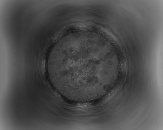 X0000094820757200711161527