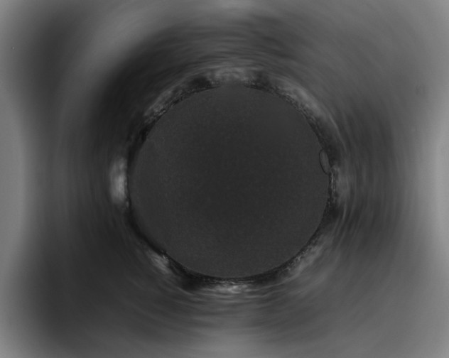 X0000094820760200711161527