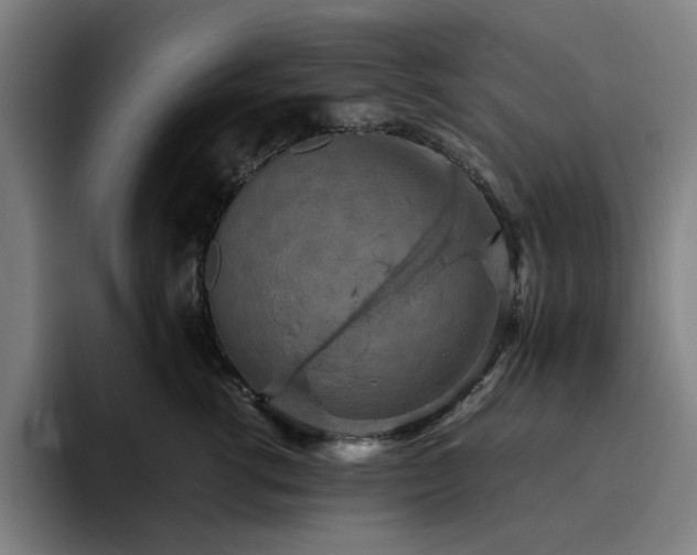 X0000094820762200711161528