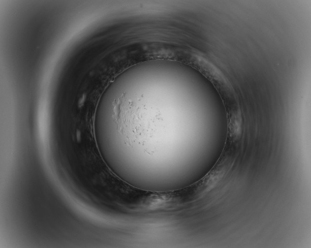 X0000094820764200711161528