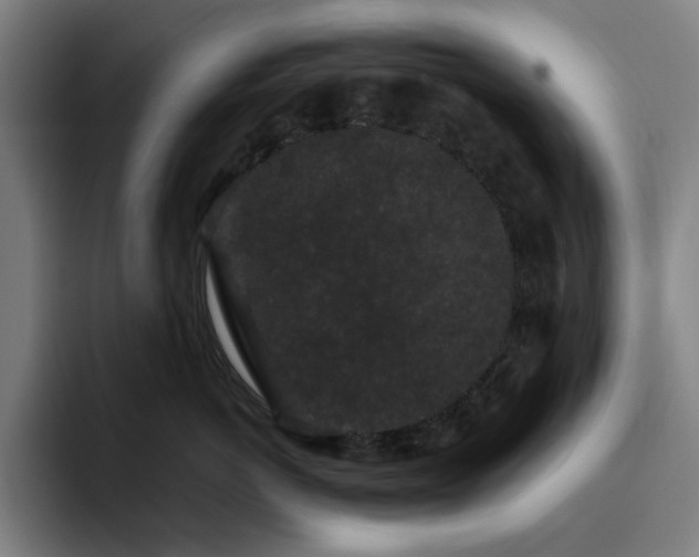 X0000094820766200711161528