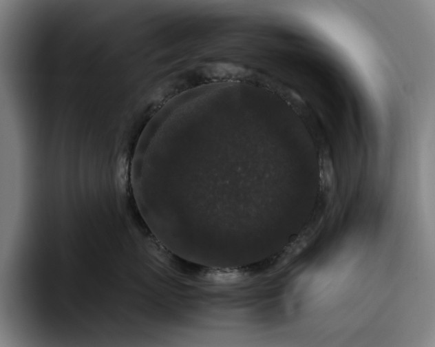 X0000094820767200711161528