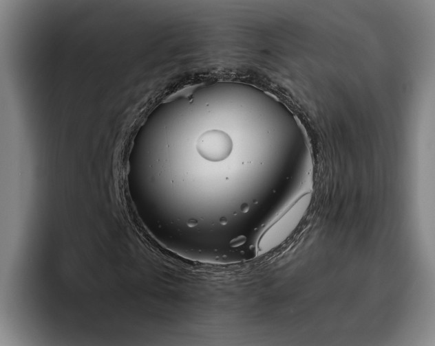 X0000094820769200711161527