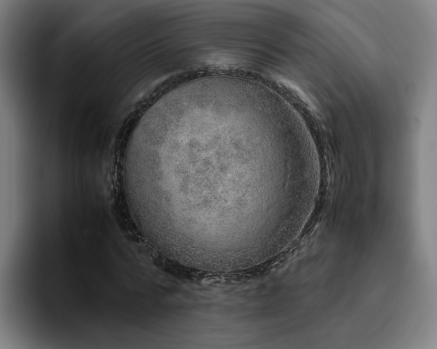X0000094820776200711161527