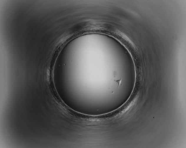 X0000094820777200711161527