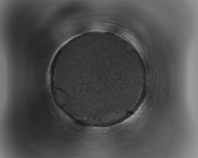 X0000094820779200711161527