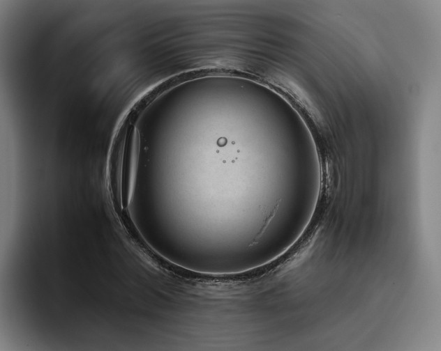 X0000094820780200711161527