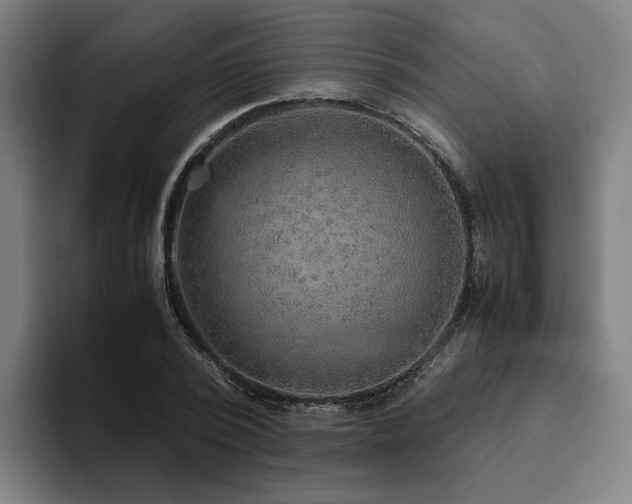 X0000094820784200711161527