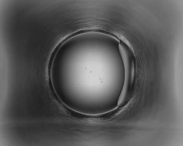 X0000094820789200711161527