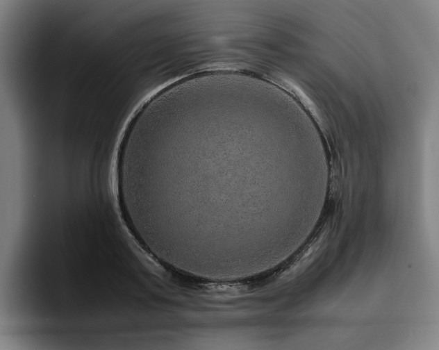 X0000094820795200711161527