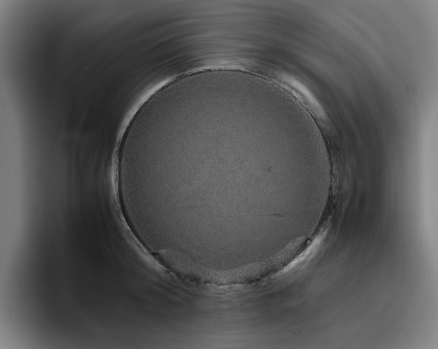 X0000094820804200711161526