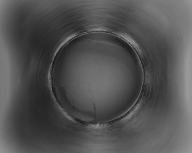 X0000094820806200711161526