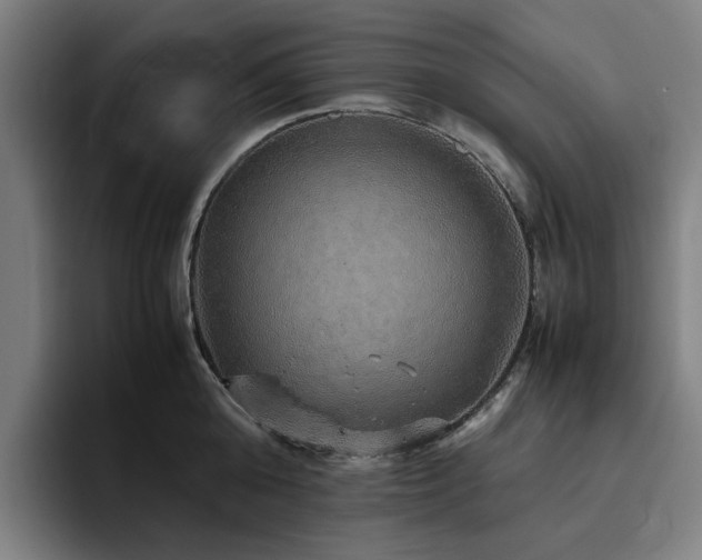 X0000094820808200711161526