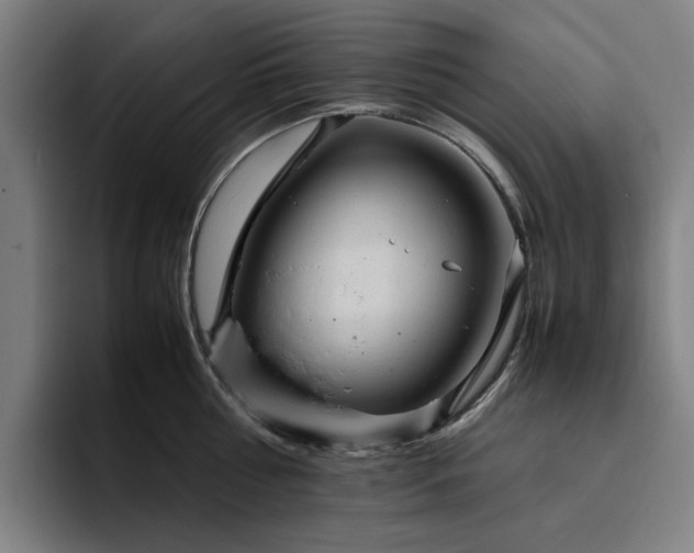 X0000094820810200711161526