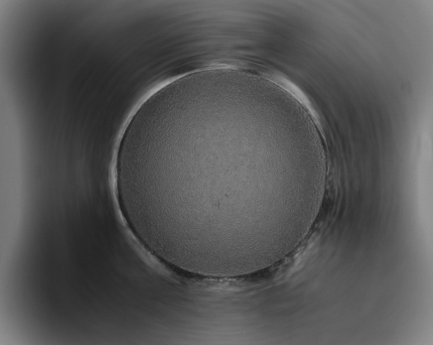 X0000094820811200711161526