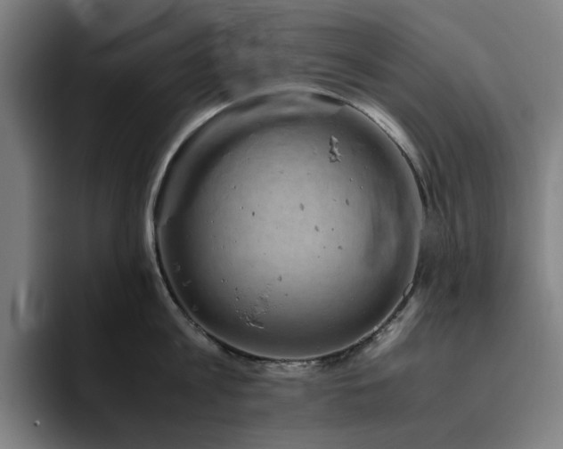 X0000094820813200711161526