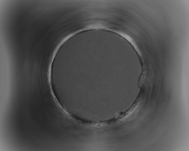 X0000094820815200711161526