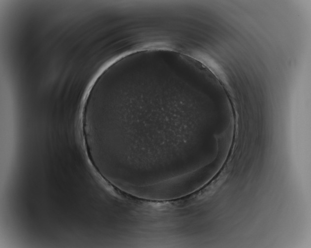 X0000094820816200711161526