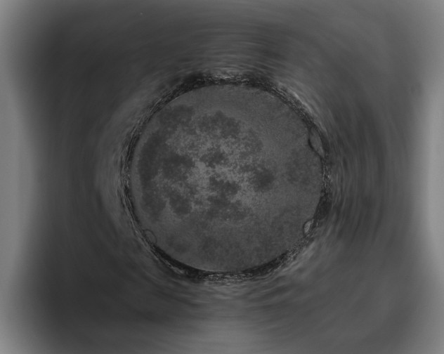 X0000094820817200711161526