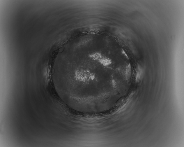 X0000094820818200711161526